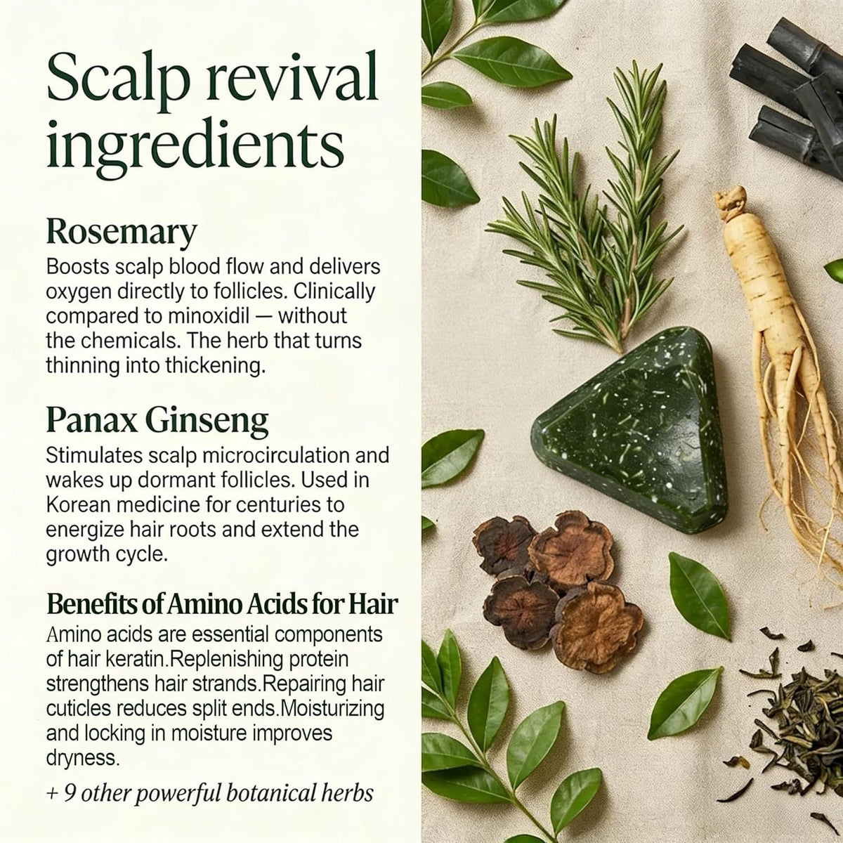 Anti-Hair Loss Shampoo Bar shown as a dark green speckled solid bar beside rosemary, roots, and botanical ingredients