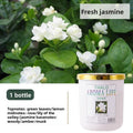 Jasmine Fragrance Air Fresh solid fragrance in a pale pink jar with a gold lid, shown with white jasmine flowers