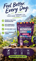 Mushroom Gummies in a purple berry-flavored pouch with colorful gummy pieces and organic, functional blend labeling