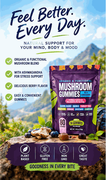 Mushroom Gummies in a purple berry-flavored pouch with colorful gummy pieces and organic, functional blend labeling
