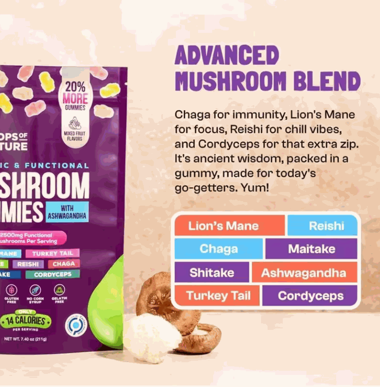 Mushroom Gummies in a purple pouch with a colorful mushroom blend label and assorted mushroom illustrations