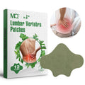 neck pain relief patch for back support shown as a muted green, nonwoven lumbar patch beside a box labeled 12 pieces