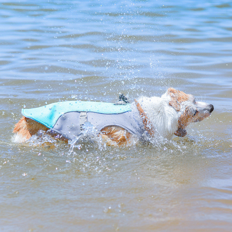 Pet Summer Cooling Vest in aqua blue mesh with gray trim, textured panels, adjustable buckle straps and silver leash clip.