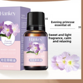 Rose Ginger Mugwort Massage Essential Oil shown as a brown glass bottle with a black cap and lavender-pink evening primrose label