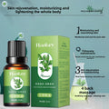 Rose Ginger Mugwort Massage Essential Oil in a green 10 ml bottle and matching box, with botanical leaf graphics