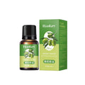 Rose Ginger Mugwort Massage Essential Oil appears as a dark amber olive massage oil bottle with a black ribbed cap and matching green olive-printed box