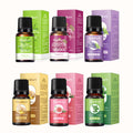 Essential oil set with Rose Ginger Mugwort Massage Essential Oil among six amber bottles, black caps and colorful cartons