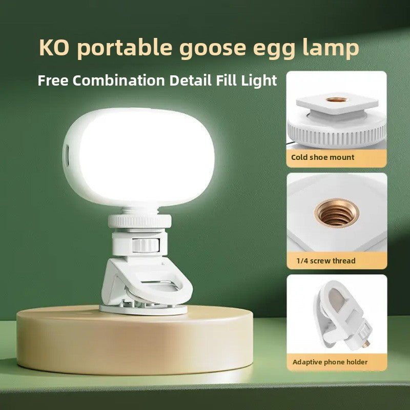 VIBE LOOP BANS portable selfie light with a white oval lamp, cold shoe mount, 1/4-inch screw thread and phone holder